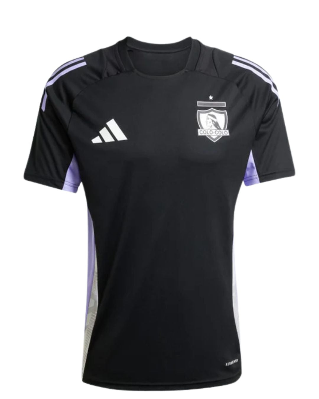 Camiseta Colo Colo Entrenamiento 2025 Versión Fan