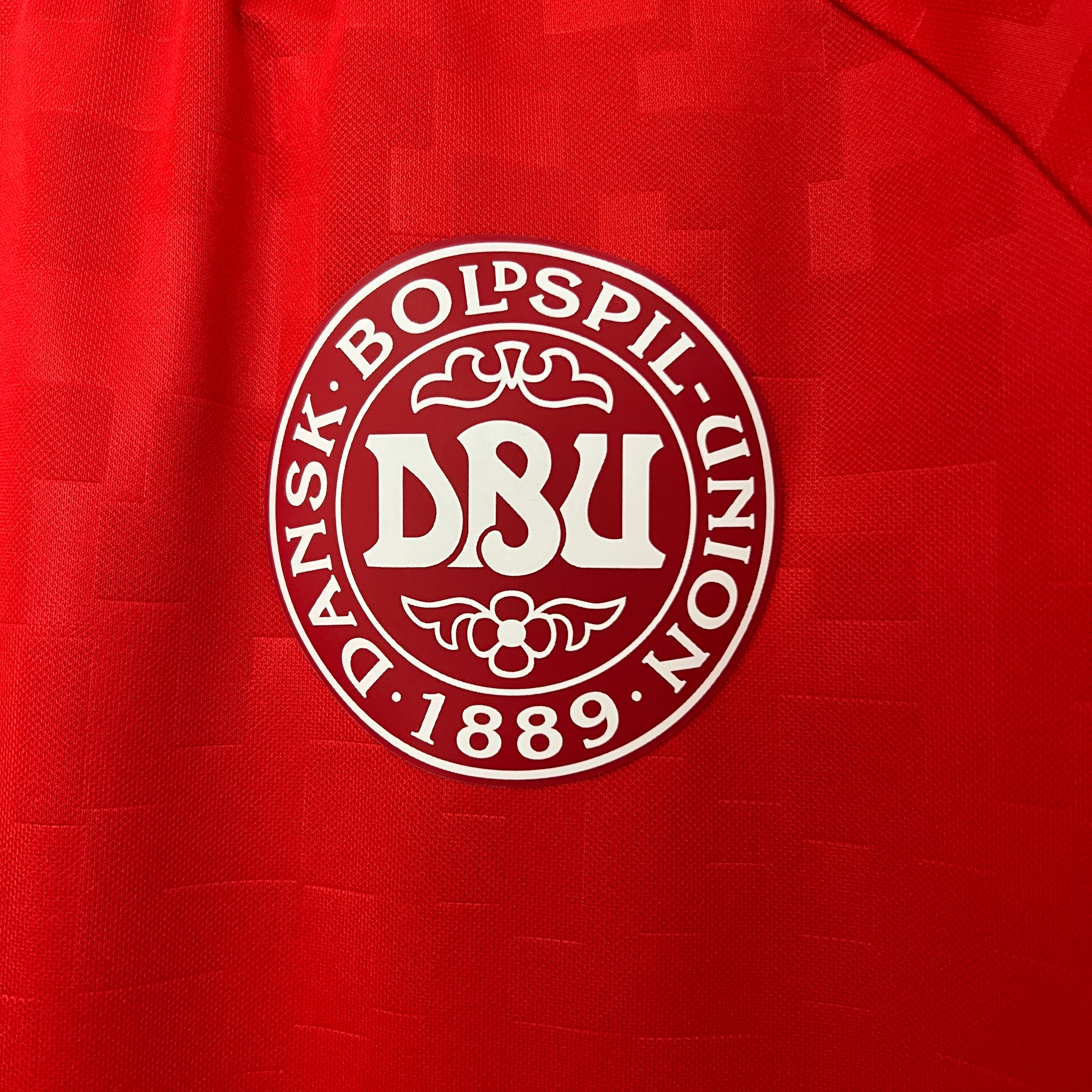 Camiseta Dinamarca Local 2024/25  | Versión fan