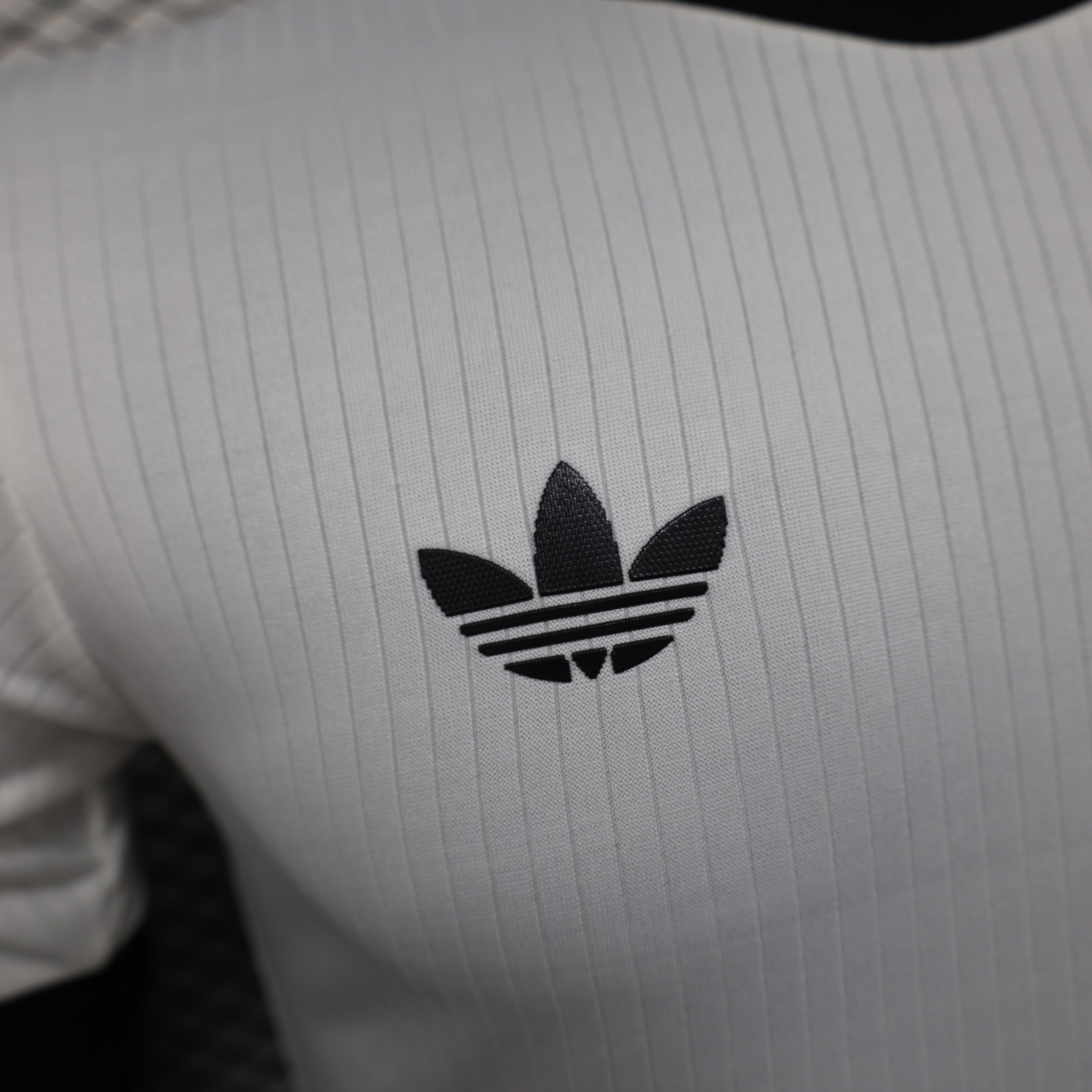 Camiseta Alemania Edición Especial 2025 Versión Jugador